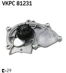 SKF VKPC 81231
