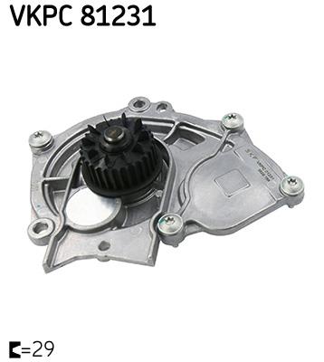 SKF VKPC 81231 EAN: 7316577160232.