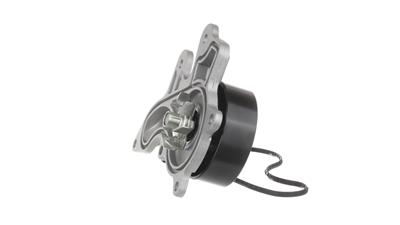 SKF VKPC 91871 EAN: 7316582069063.
