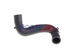BOGAP B4228218