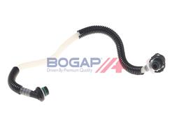BOGAP C1646112