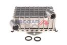 BOGAP C4222101