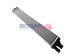 BOGAP R4210189