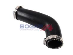 BOGAP V1711100