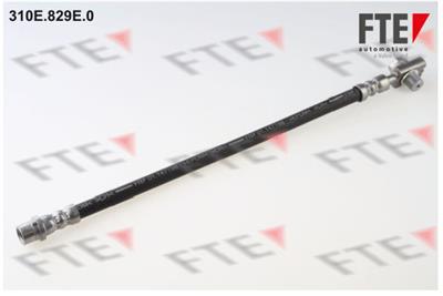 FTE 310E.829E.0 EAN: 402856941353.