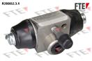 FTE R200052.3.1