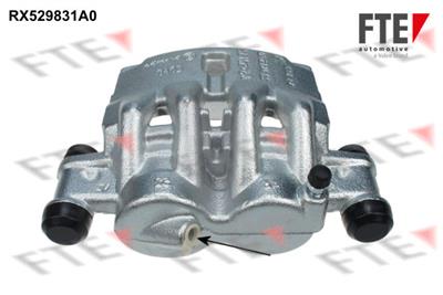 FTE 9291556 Číslo výrobce: RX529831A0. EAN: 3276429808740.