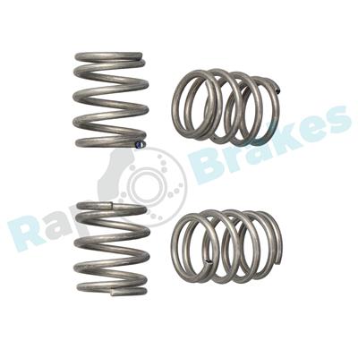 RAP BRAKES R-T0219 EAN: 5907714137013.