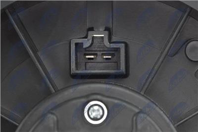 NTY EWN-NS-005 EAN: 5902048170057.