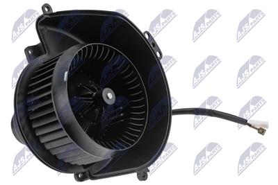 NTY EWN-PL-006