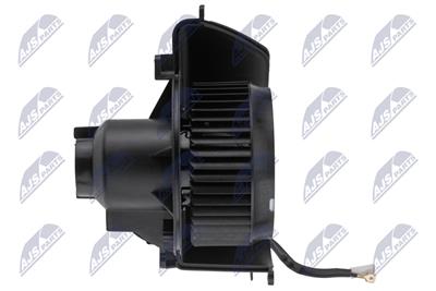 NTY EWN-PL-006