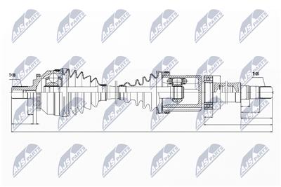 NTY NPW-VV-029 EAN: 5902048882585.