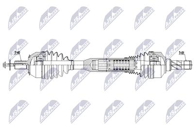 NTY NPW-VV-172 EAN: 5902048373465.