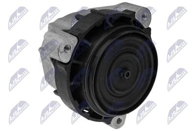 NTY ZPS-BM-050