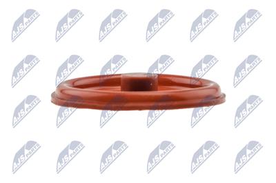 NTY BPZ-PL-005 EAN: 5902048154453.