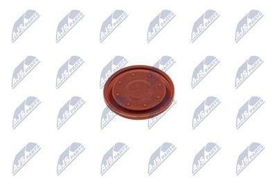 NTY BPZ-VV-002 EAN: 5902048164773.