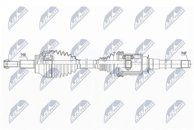 NTY NPW-CH-031 EAN: 5902048897992.