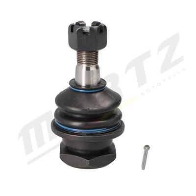Mertz M-S1007 EAN: 5902701026271.