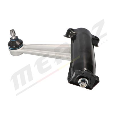 Mertz M-S2131 EAN: 2505820576493.