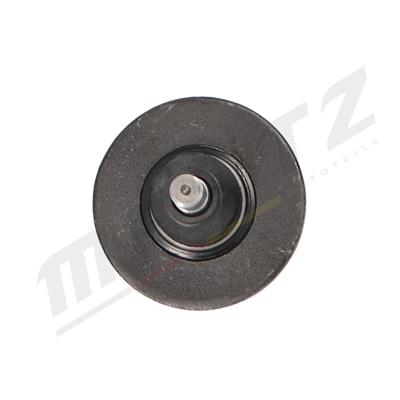 Mertz M-S2391 EAN: 5902701009069.