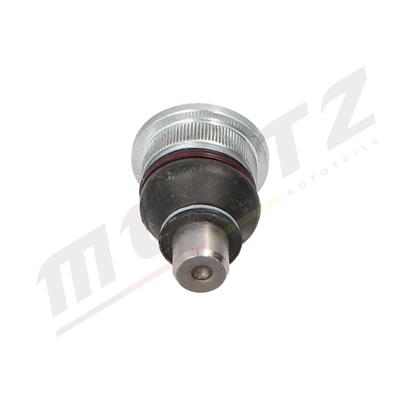 Mertz M-S2619 EAN: 5906125609188.