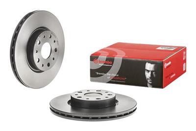 BREMBO 09.6769.21 EAN: 8020584035344.