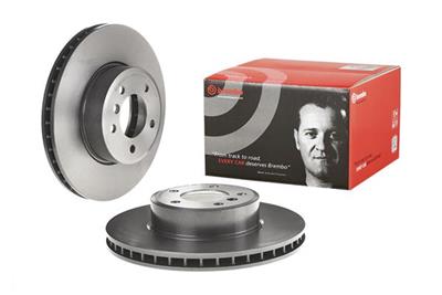 BREMBO 09.9172.11 EAN: 8020584022726.