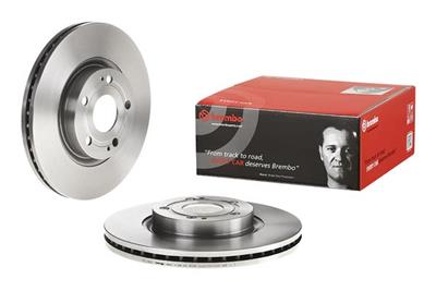 BREMBO 09.9817.20 EAN: 8020584981726.