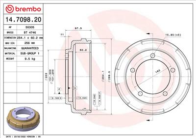 BREMBO 14.7098.20 EAN: 8020584709825.