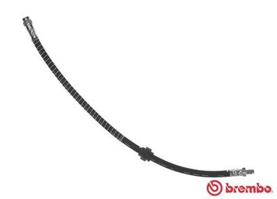 BREMBO T 11 015 EAN: 8432509648193.