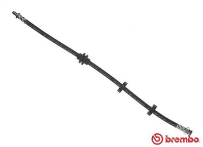 BREMBO T 23 184 EAN: 8432509648360.