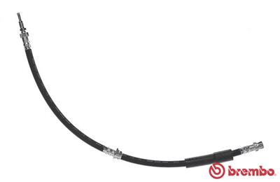BREMBO T 24 119 EAN: 8432509648582.