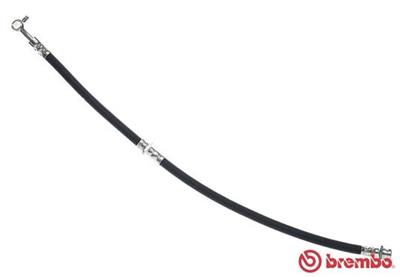 BREMBO T 56 174 EAN: 8432509655771.