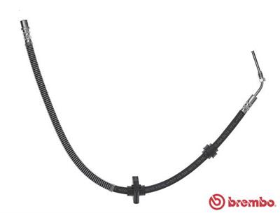 BREMBO T 61 059 EAN: 8432509628027.