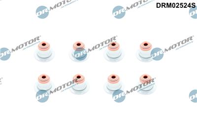 Dr.Motor Automotive DRM02524S EAN: 5904639638427.
