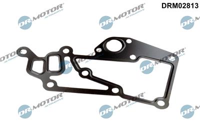 Dr.Motor Automotive DRM02813 EAN: 5904639645128.
