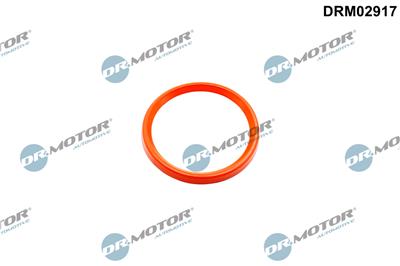 Dr.Motor Automotive DRM02917
