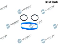 Dr.Motor Automotive DRM03100S