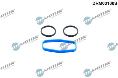 Dr.Motor Automotive DRM03100S