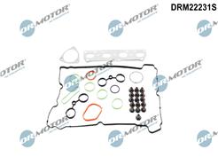Dr.Motor Automotive DRM22231S