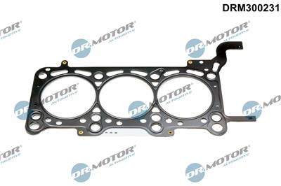 Dr.Motor Automotive DRM300231