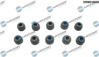 Dr.Motor Automotive DRM01003S EAN: 5904639607812.
