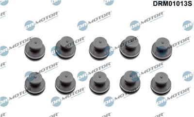 Dr.Motor Automotive DRM01013S EAN: 5904639607836.