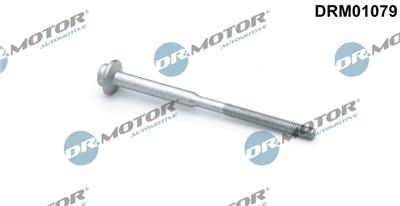 Dr.Motor Automotive DRM01079 EAN: 5903672745987.