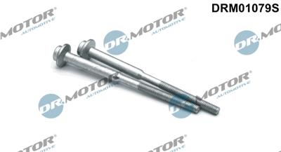 Dr.Motor Automotive DRM01079S EAN: 5903672745994.
