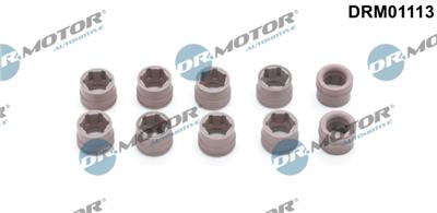 Dr.Motor Automotive DRM01113 EAN: 5903672745406.
