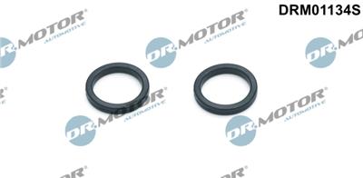 Dr.Motor Automotive DRM01134S EAN: 5903672745604.
