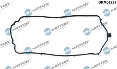 Dr.Motor Automotive DRM01227 EAN: 5904639600356.