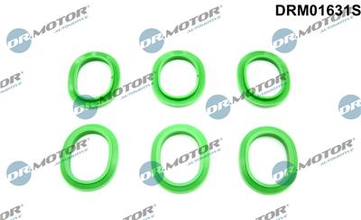 Dr.Motor Automotive DRM01631S EAN: 5904639606563.