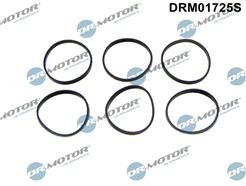 Dr.Motor Automotive DRM01725S